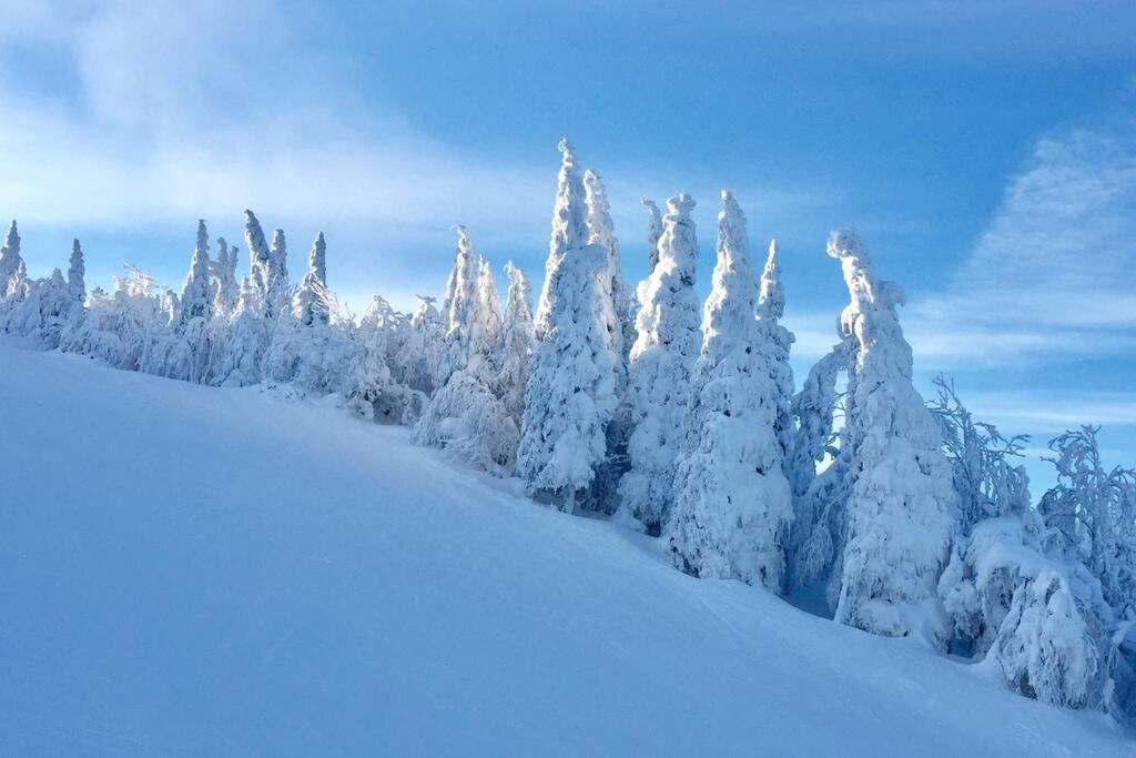The Mountainside By Escapades Tremblant Daire Mont-Tremblant Dış mekan fotoğraf